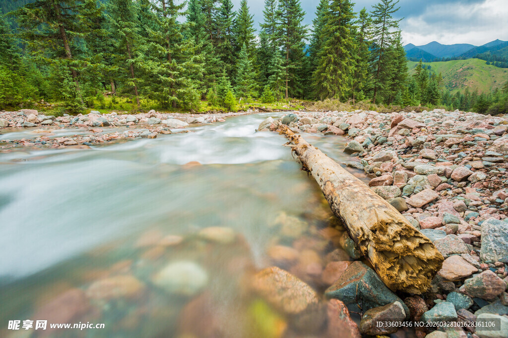 山间溪流旁的原木与碎石