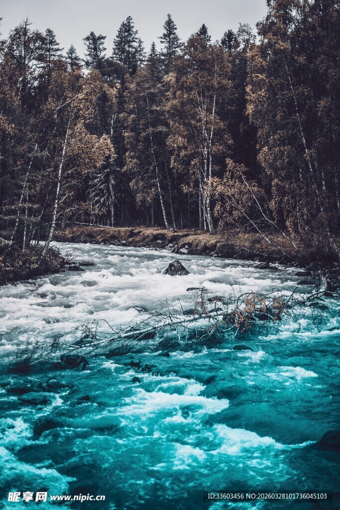 蓝绿色河流与茂密森林