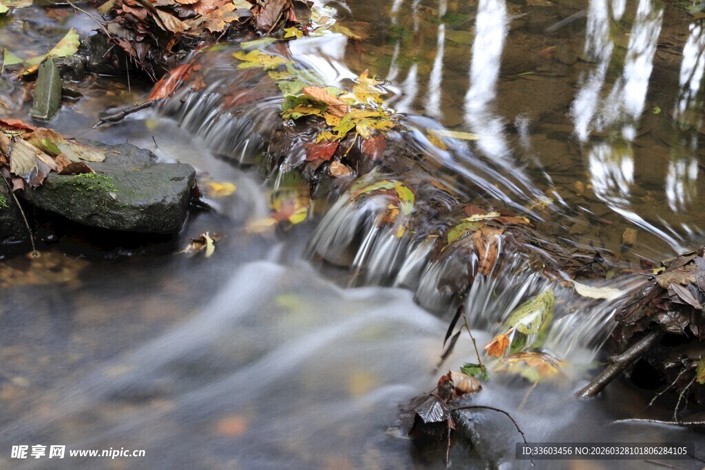 林间溪流落叶景致