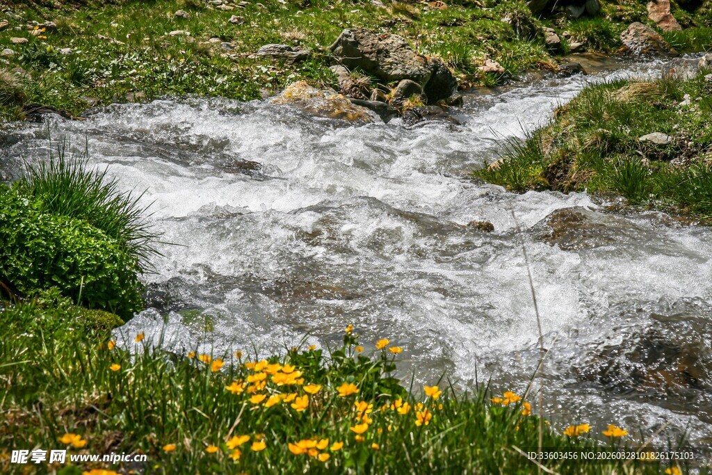 山间溪流伴野花美景