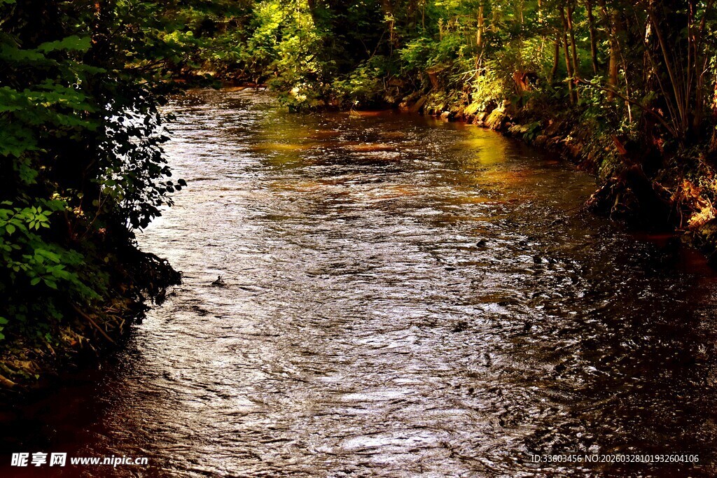 林间潺潺溪流