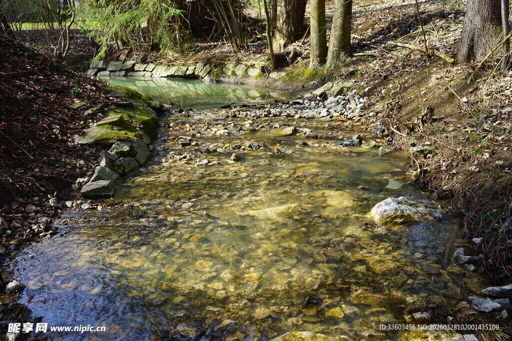 山间清澈小溪潺潺流淌