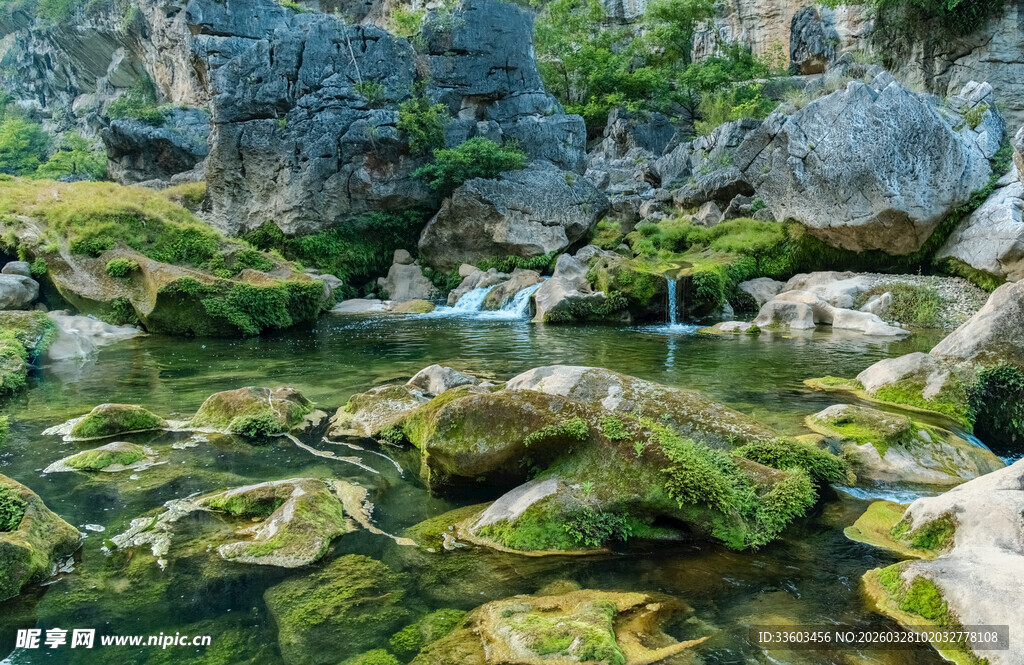 绿意盎然的景致