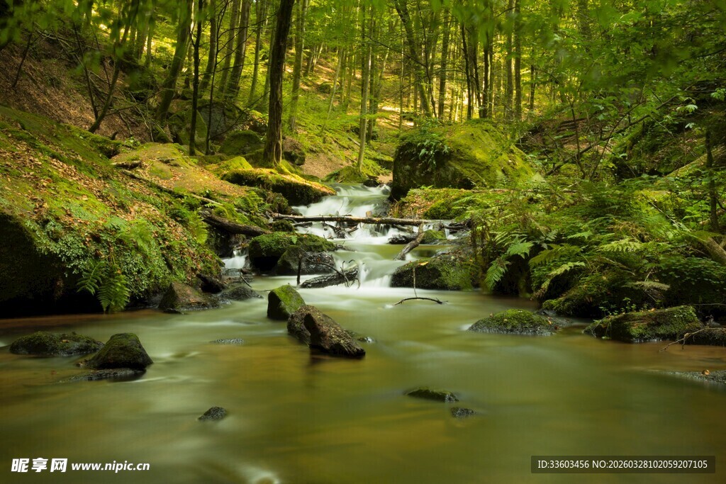 林间溪流潺潺