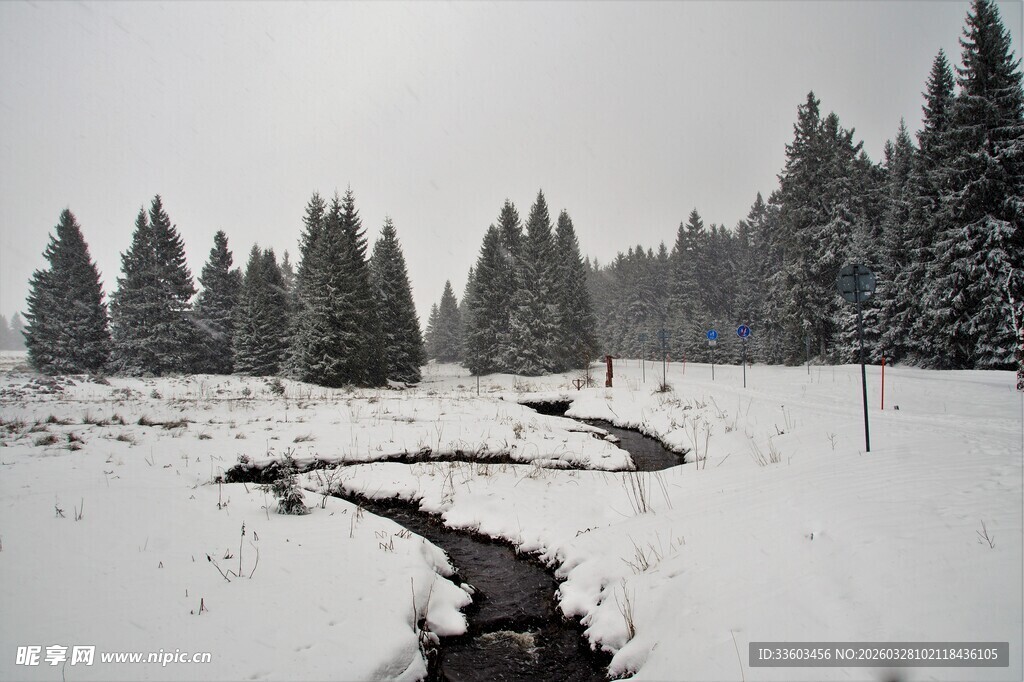 雪覆山林间的蜿蜒小径