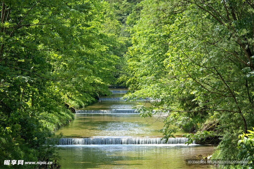 林间溪流