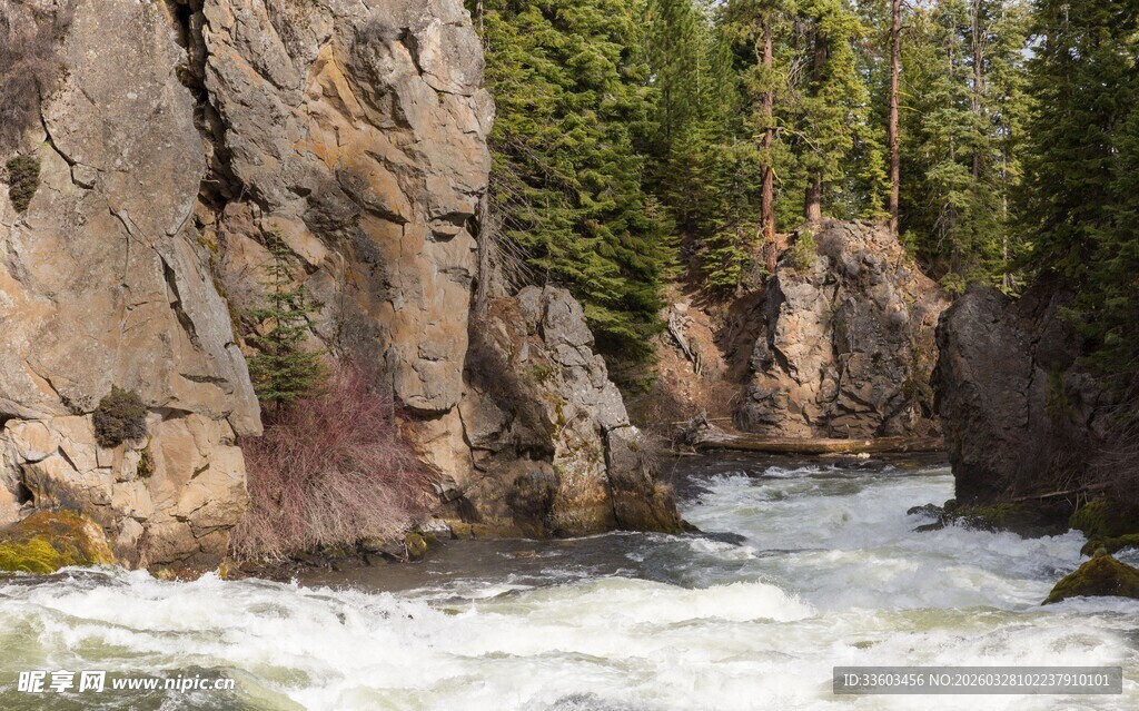 湍急河流穿岩石森林间