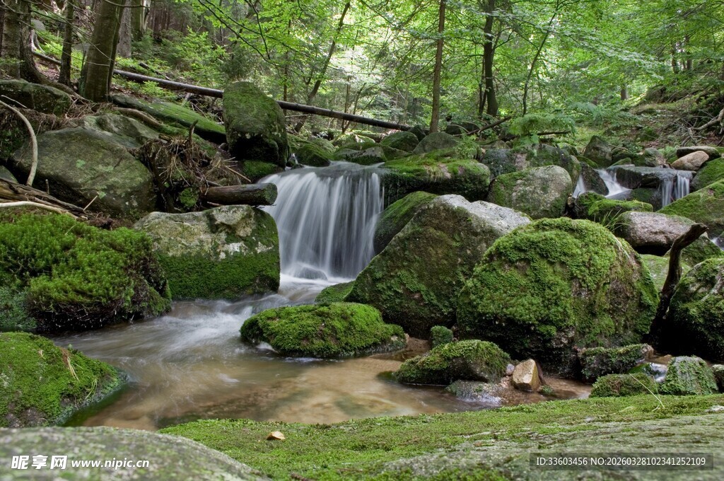 林间潺潺小瀑布