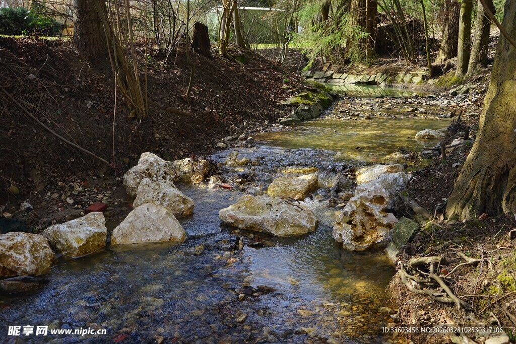 林间潺潺溪流风景图