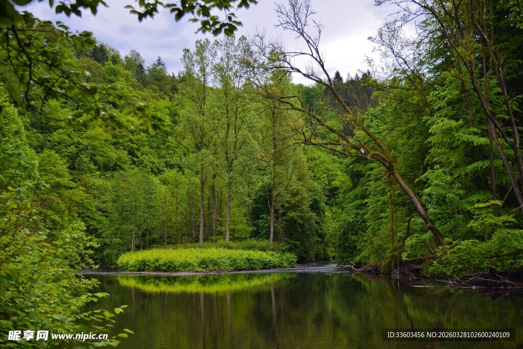 林间静谧小河风光