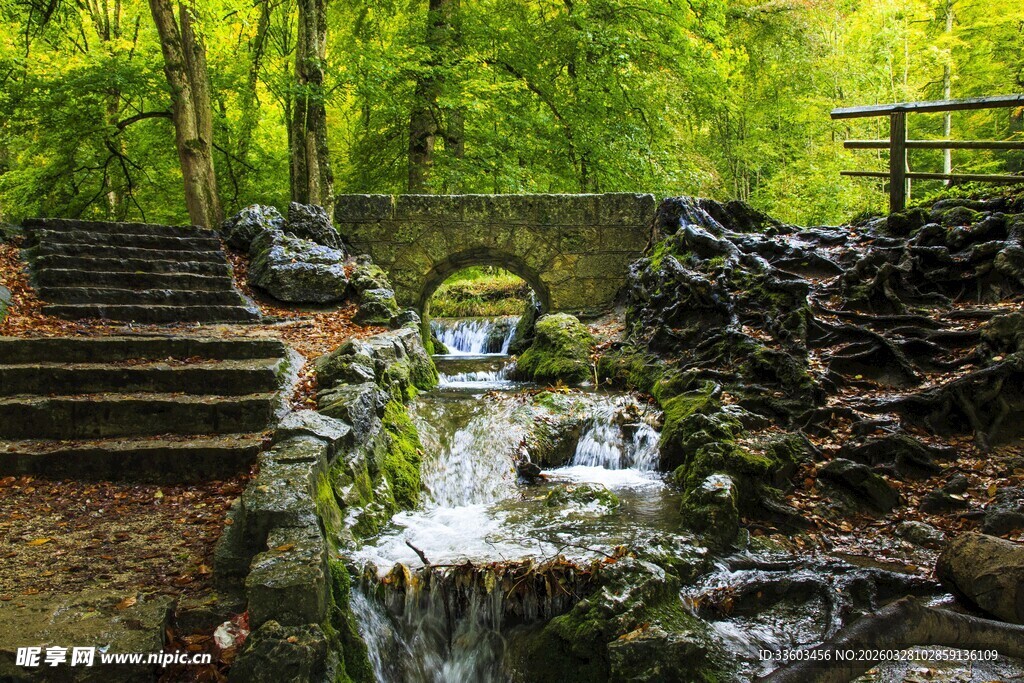 林间溪流石阶自然美景