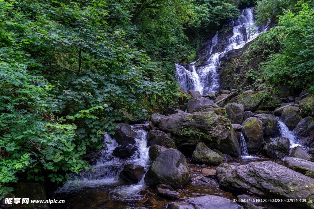 绿意环绕的美景