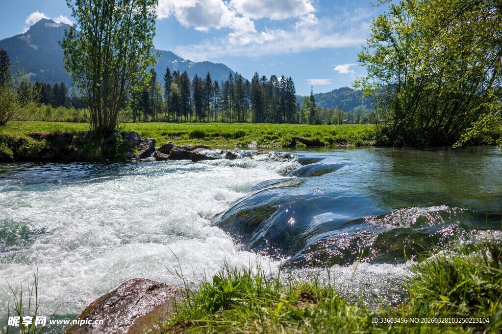 山间湍急溪流与葱郁景致