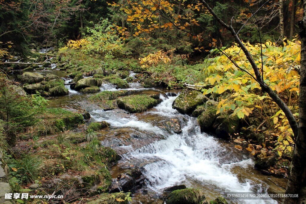山间溪流秋景图