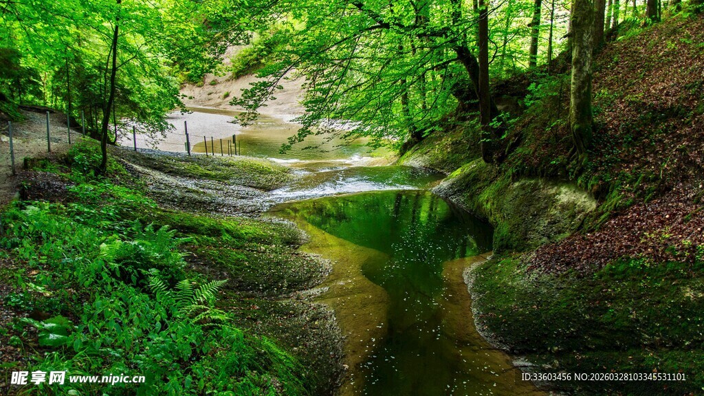 林间溪流美景