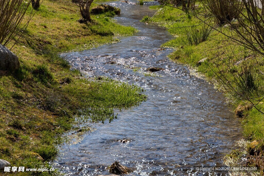 山间清澈小溪潺潺流淌