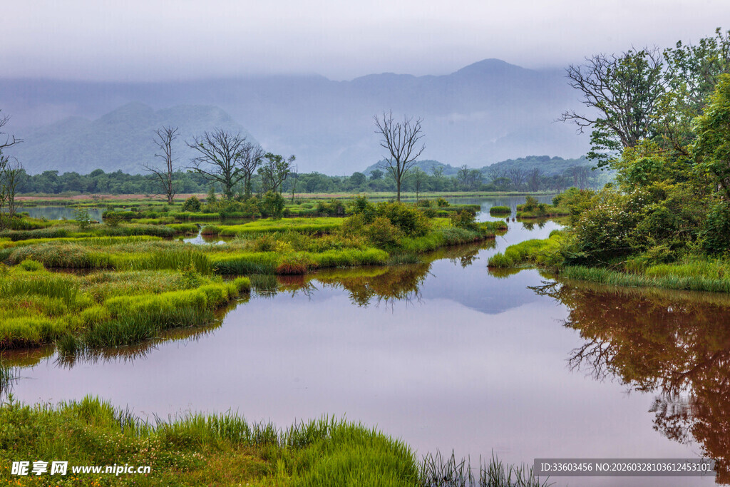宁静河畔的自然田园风光