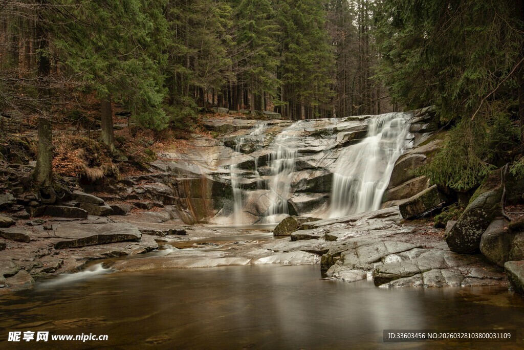 森林中的美丽小瀑布