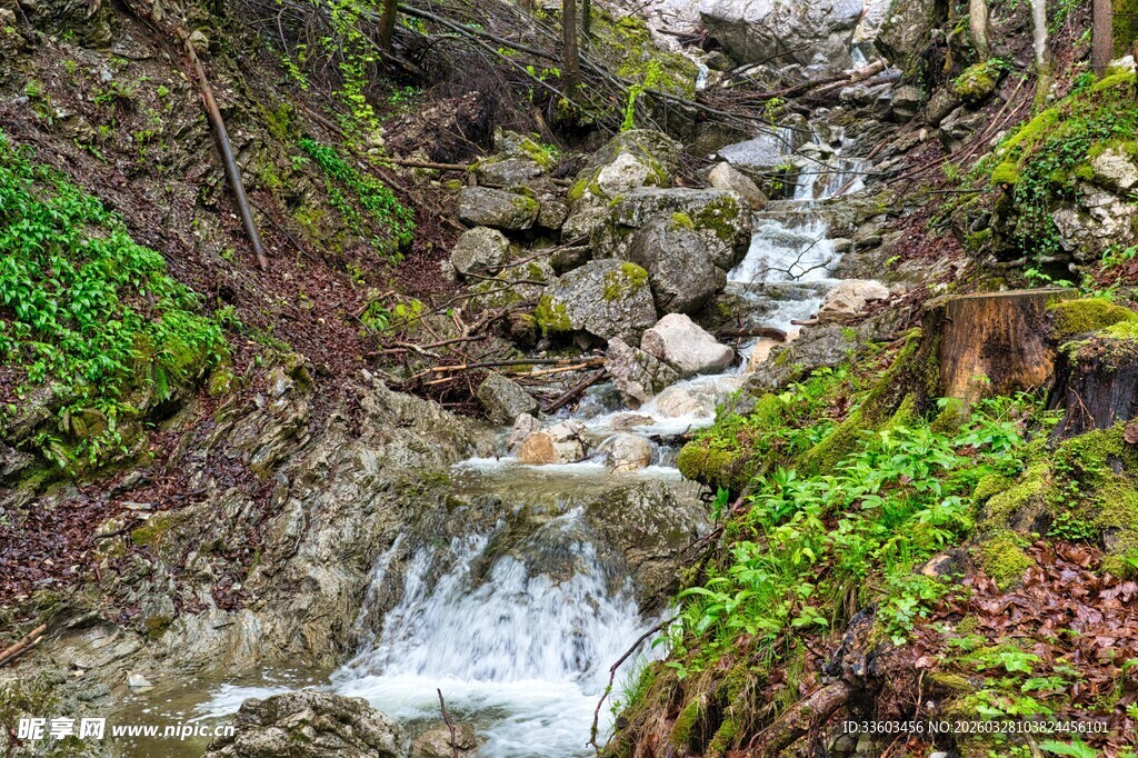 绿意环绕的美景