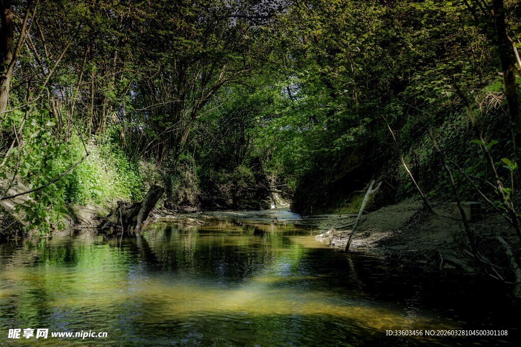 林间溪流