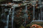 山间瀑布与落叶美景