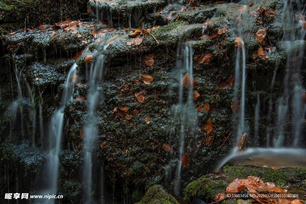山间瀑布与落叶美景