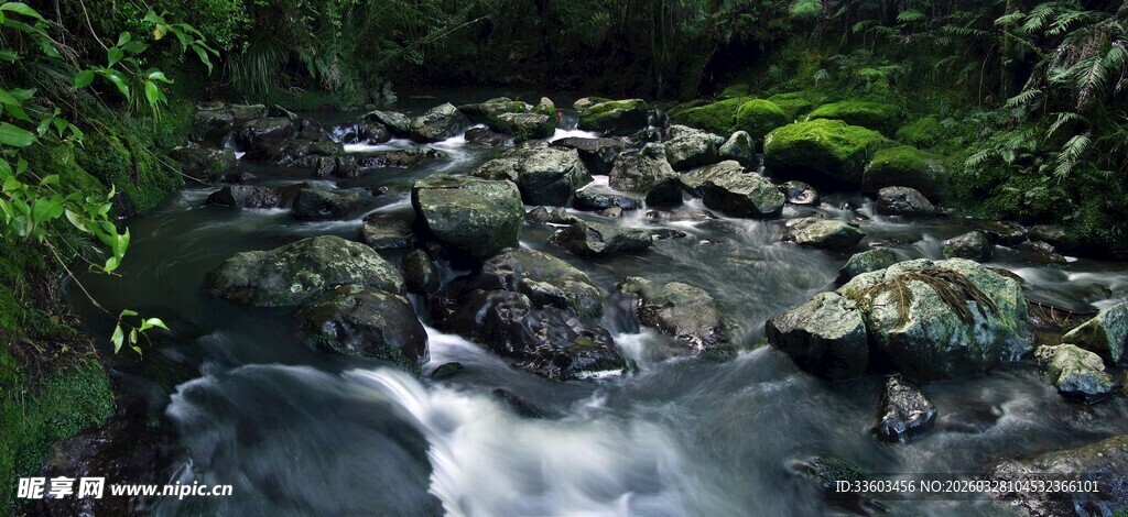 山间溪流潺潺流淌