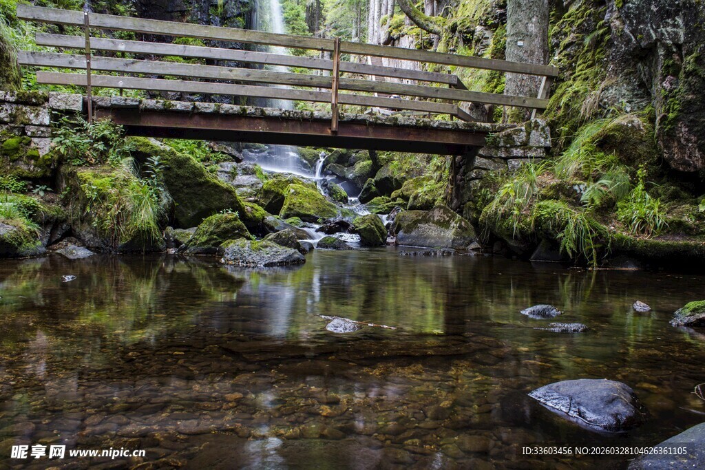 森林中的木桥与潺潺溪流