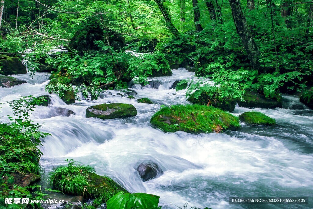 山间溪流穿林而过