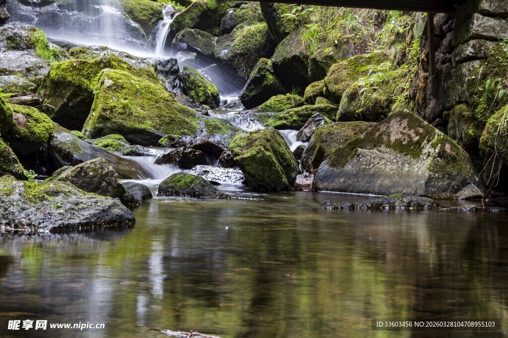 山间溪流青苔覆石之景