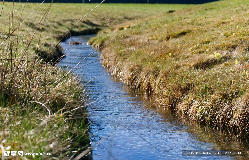 田野间蜿蜒流淌的清澈小溪