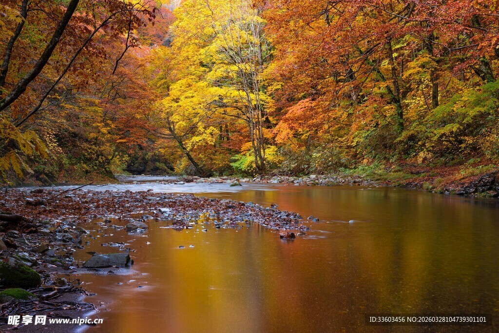秋日溪边斑斓美景
