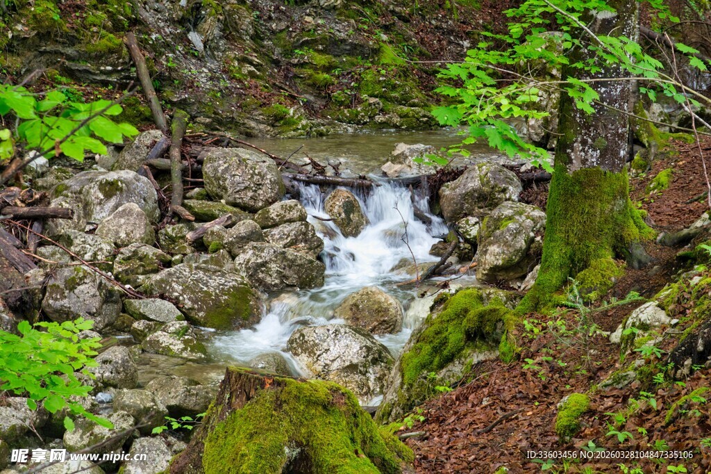 山间溪流潺潺