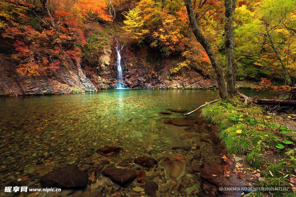 秋日山林中的清澈瀑布