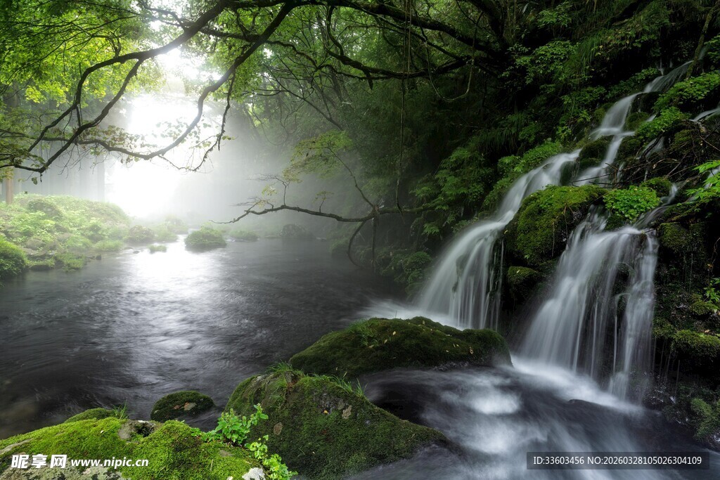 森林中的梦幻瀑布景观