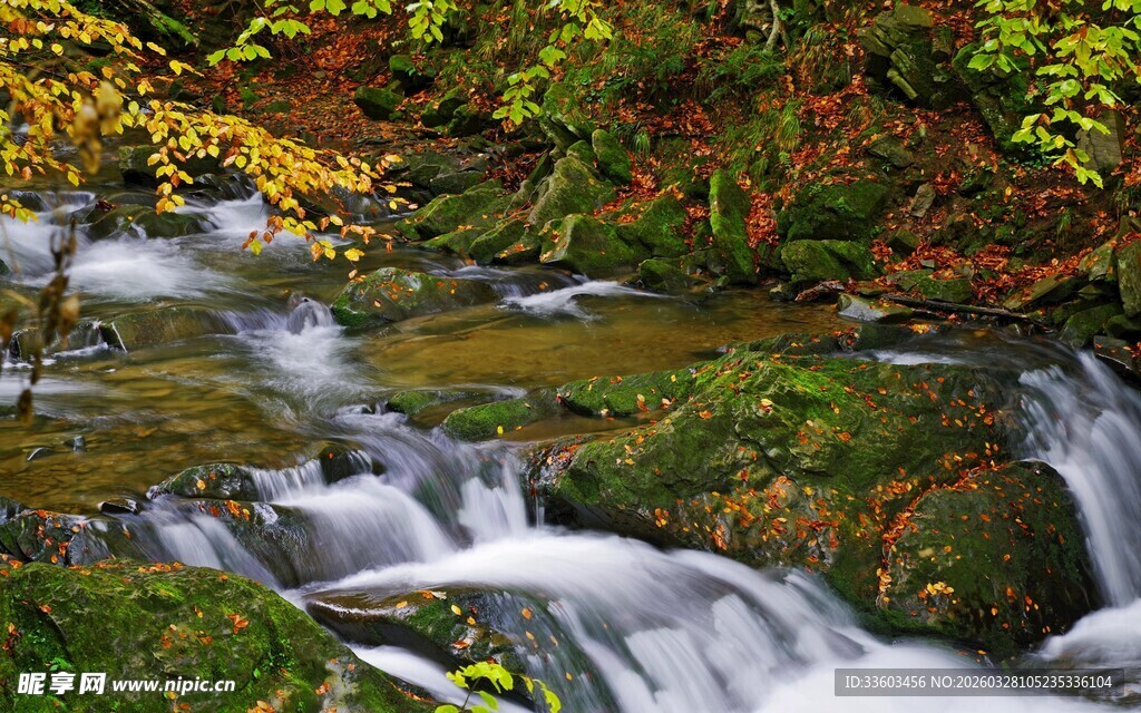 山间溪流秋色美景