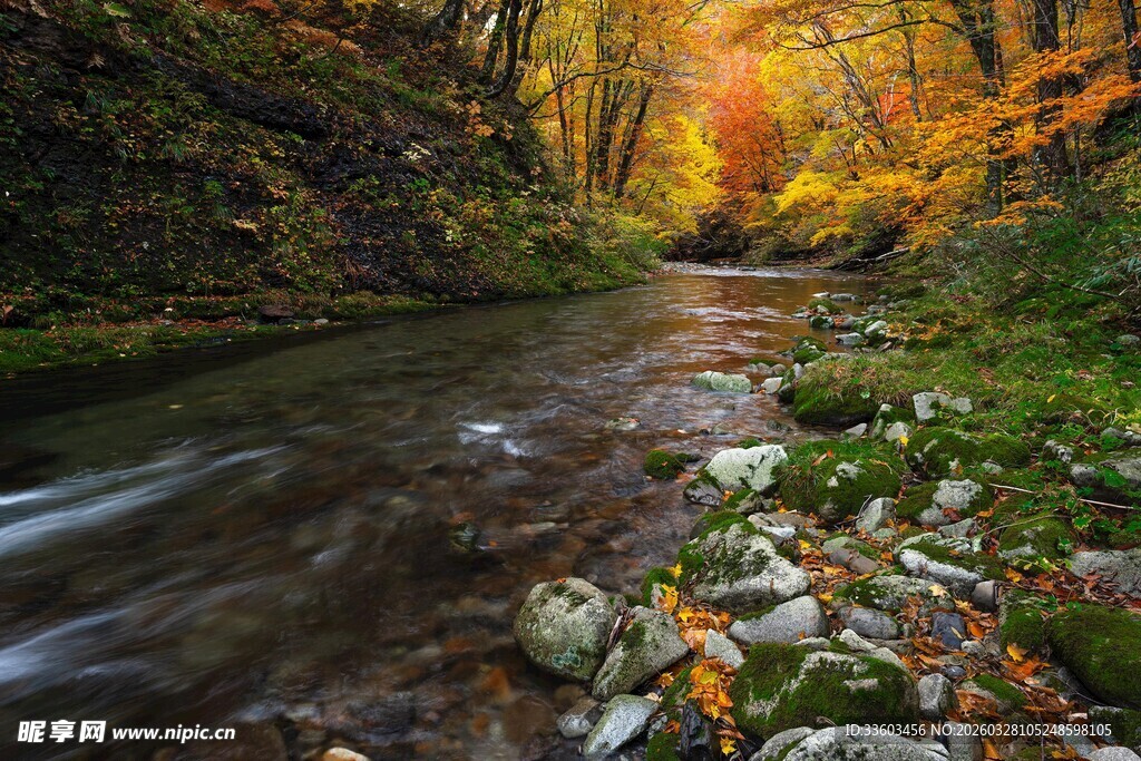 秋日溪流畔的斑斓景致