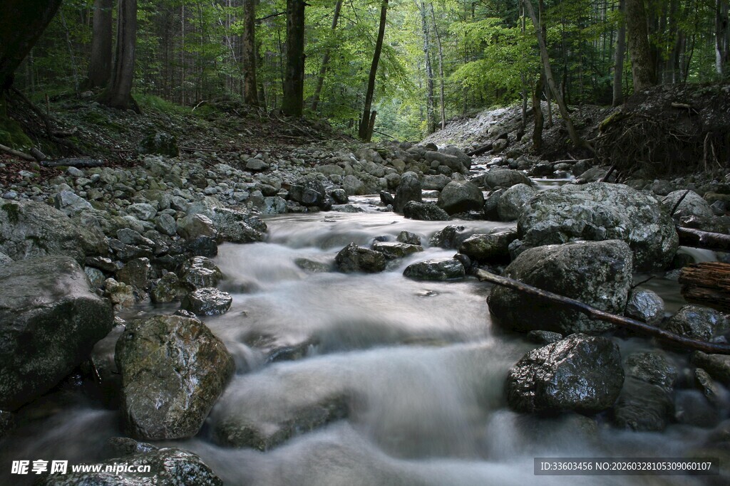林间溪流潺潺