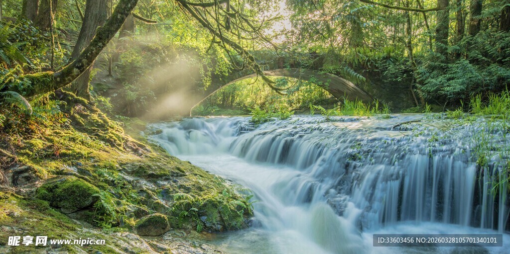 林间溪流瀑布美景