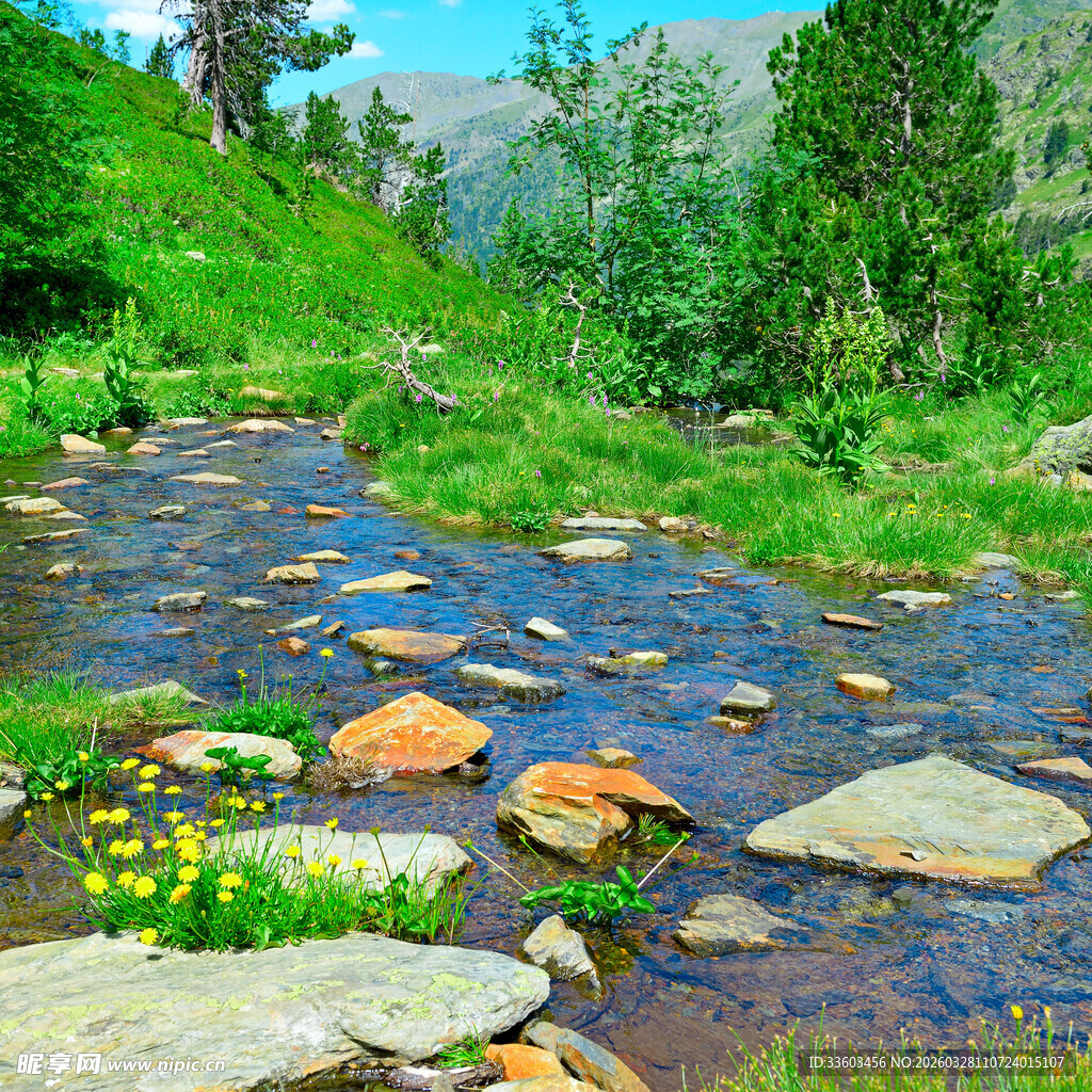 山间清澈溪流与绿色景致
