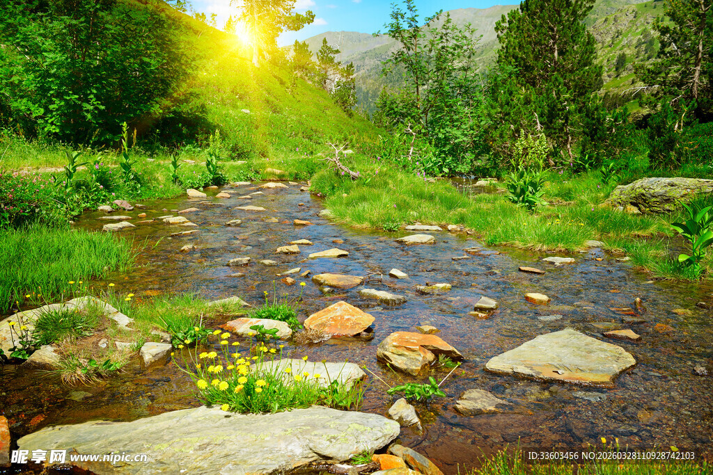 阳光照耀下的山间小溪