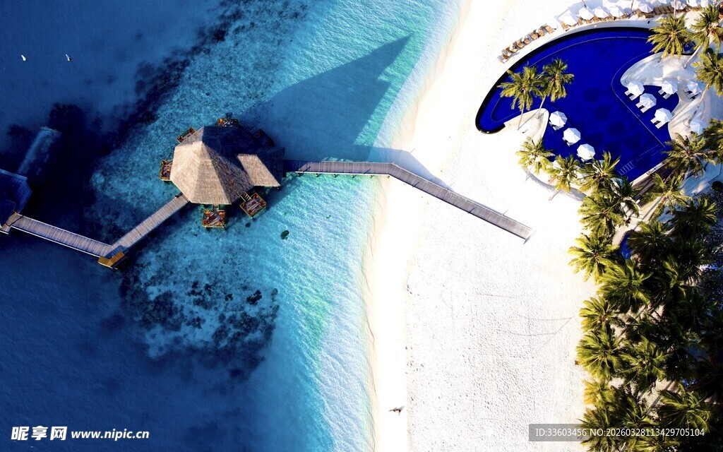 海边栈桥与绿植景观