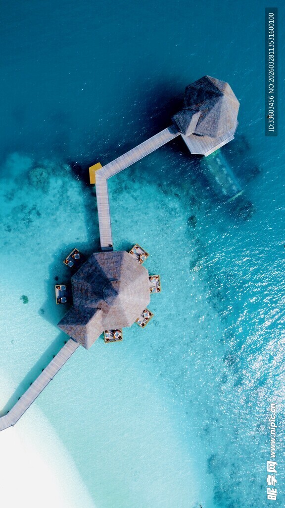 水下设备的独特视角画面