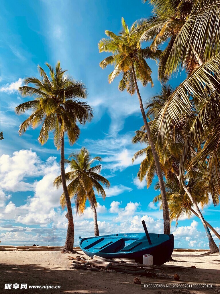 热带海滩上的蓝色小船