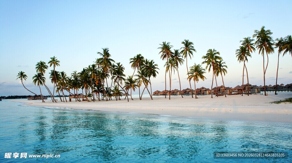 热带海岛美丽椰林沙滩