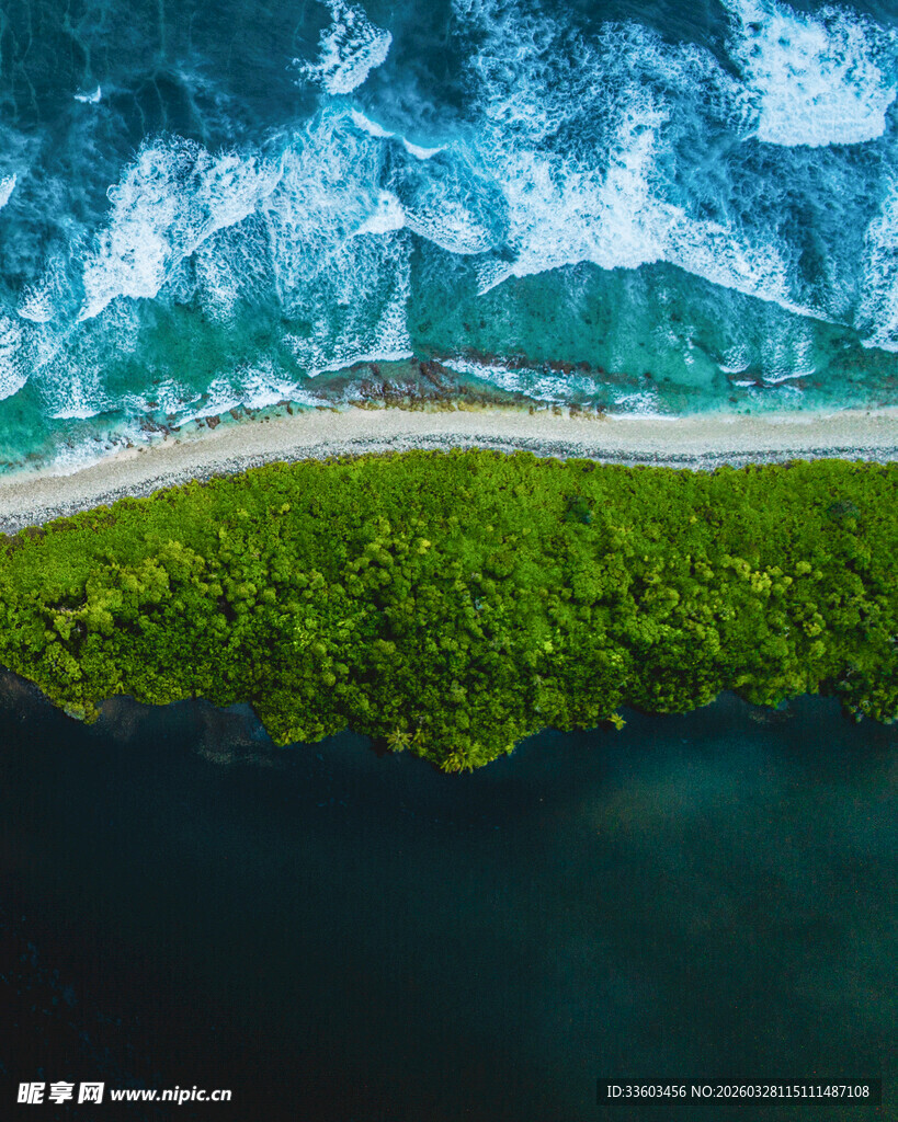 海岸线上的翠绿植被与海浪