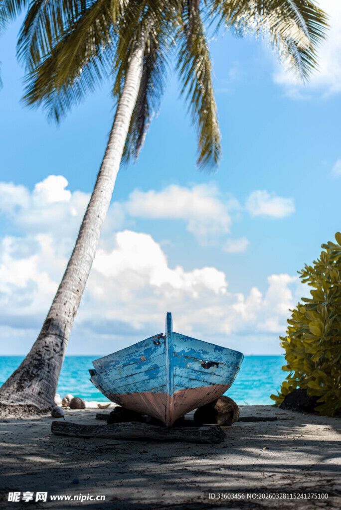 海边蓝船与高大椰子树