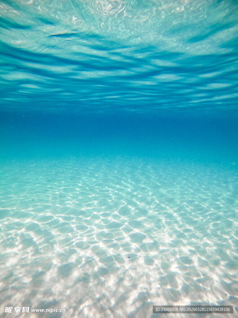 清澈海底的蓝色梦幻世界