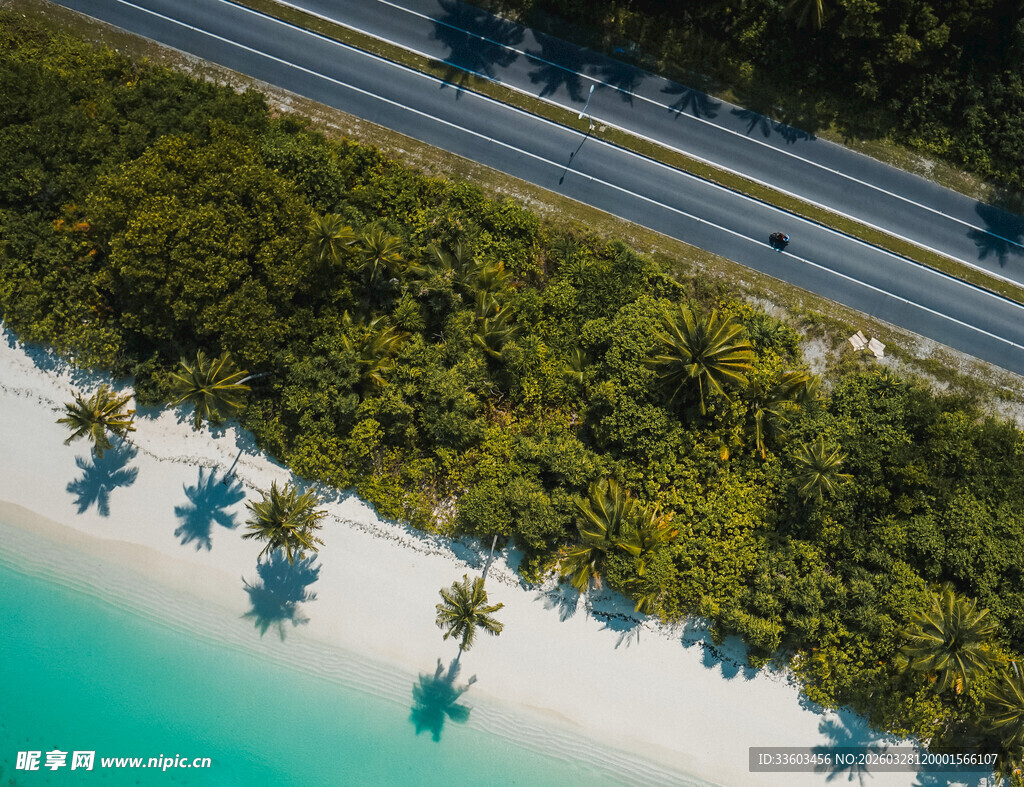 俯瞰海滨公路与翠绿椰林