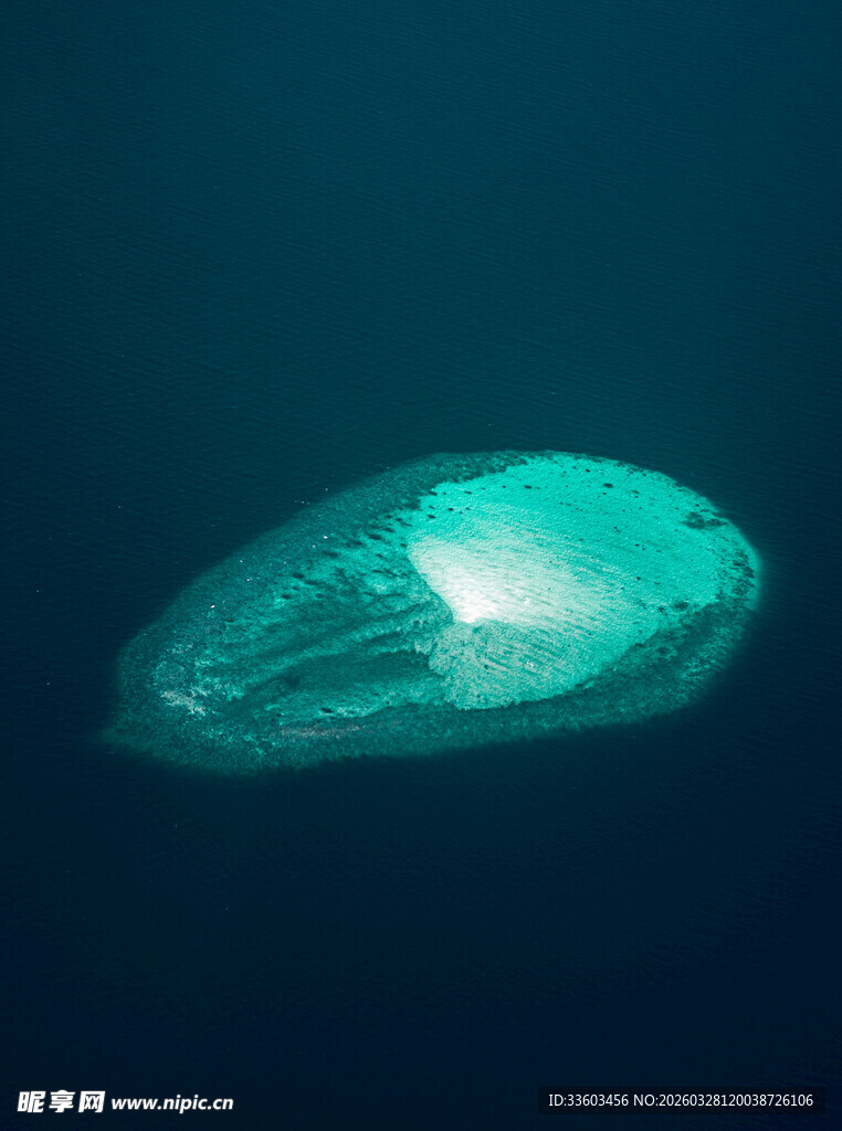 深海中的发光透明水母